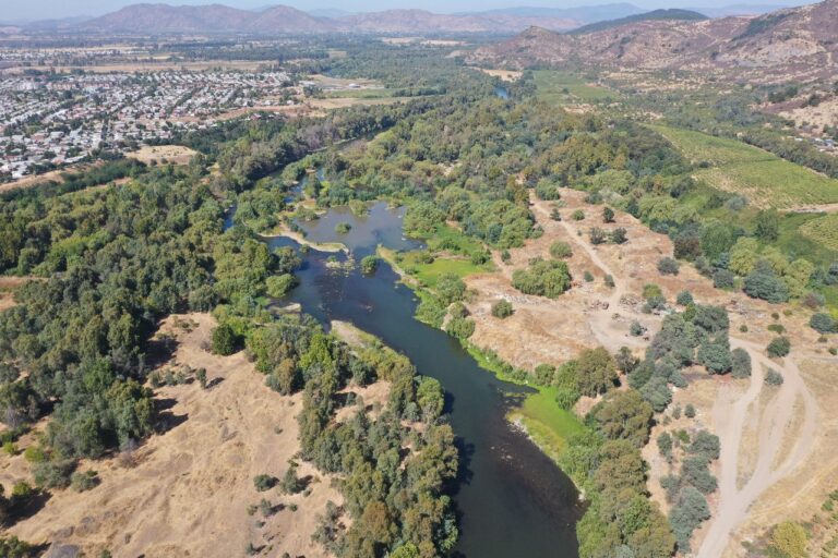 ¡Publicado en el Diario Oficial! MMA reconoce Humedal Urbano Cajón del Río Claro y Estero Piduco