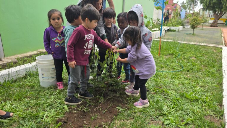 Inauguran huertas agroecológicas en escuelas rurales de Talca y Pelarco