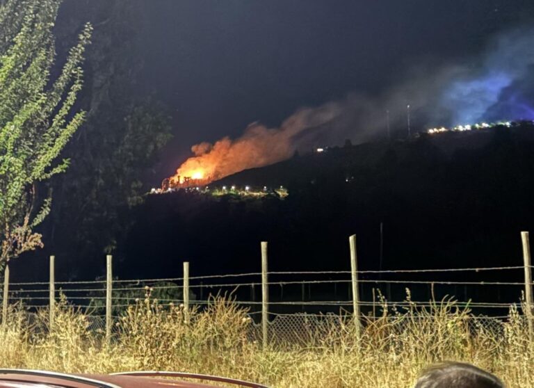 Talca: Incendio por fuegos artificiales, mascotas asustadas y un robo marcaron la jornada de año nuevo