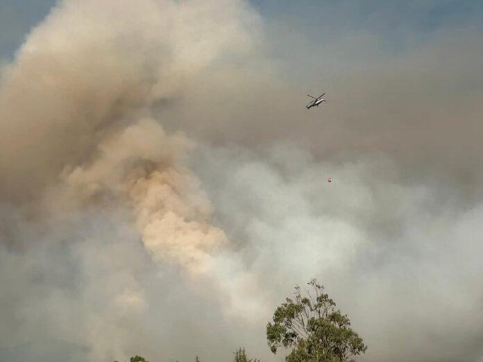 incendio forestal