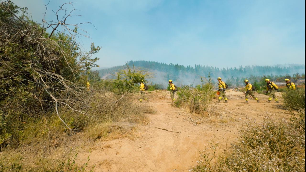 Avances en el combate del incendio de Villaboro en San Javier