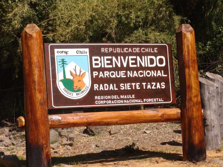 Por ola de calor extrema: Conaf cierra Reserva y Parque Radal Siete Tazas este fin de semana