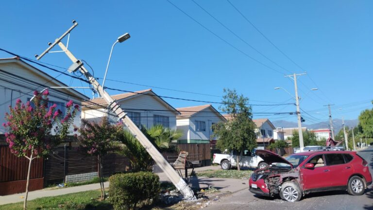 La Región del Maule entre las más afectadas por choques que dañan infraestructura eléctrica, según CGE