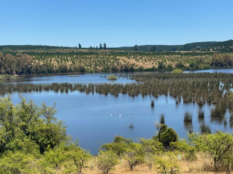 Conservación de biodiversidad: nuevo proceso participativo define sitios prioritarios en el Maule