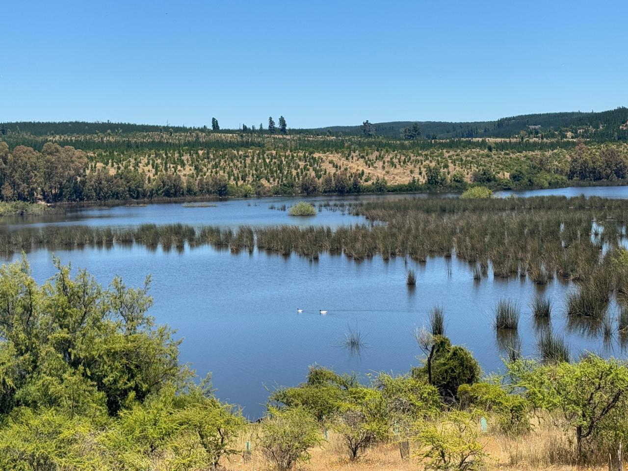 Identifican 50 sitios clave para biodiversidad en Maule