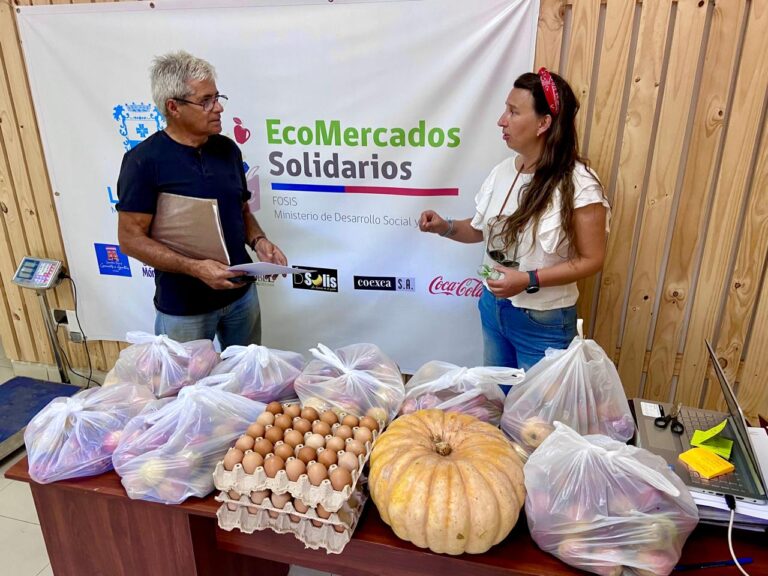 Solidaridad en acción: el EcoMercado Solidario lleva alimentos gratuitos a más de 2.500 hogares en Linares