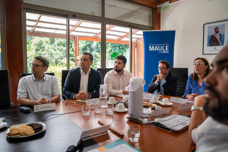 Aprueban millonario presupuesto para impulsar innovación y emprendimiento en la Región del Maule en 2025