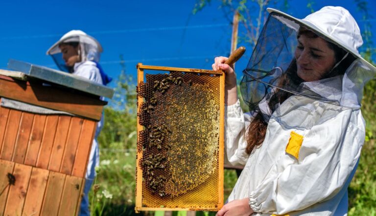 Mujeres apicultoras impulsan el desarrollo del sector en el Maule