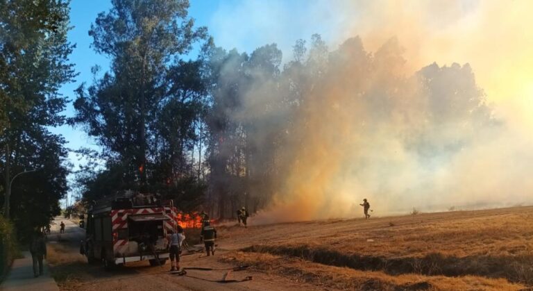 Formalizan a dos trabajadores venezolanos por incendio en Jardín Botánico de la UTalca: uno está en situación irregular