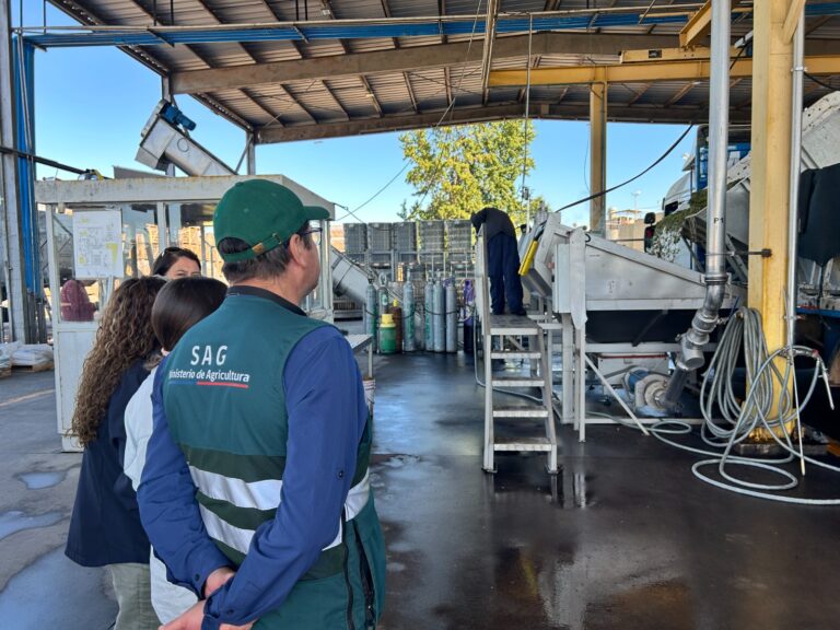 Refuerzan fiscalización en bodegas de vino para evitar falsificaciones