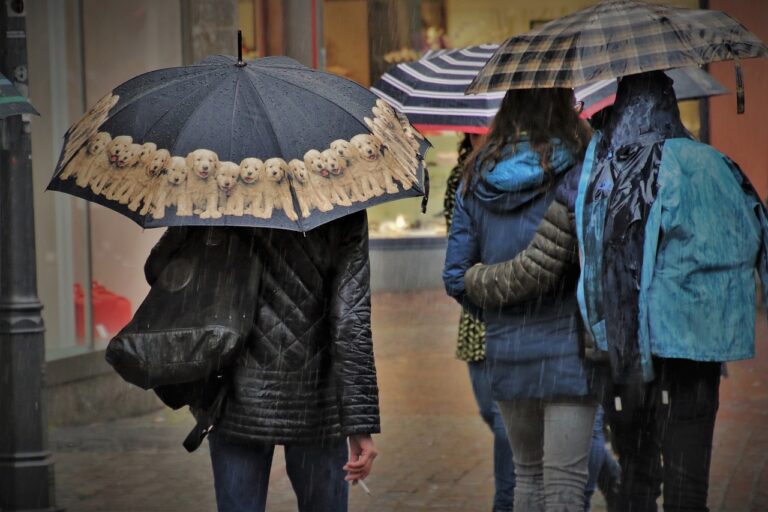 ¡Llega el otoño! Experto advierte lluvias extremas en un periodo corto de tiempo