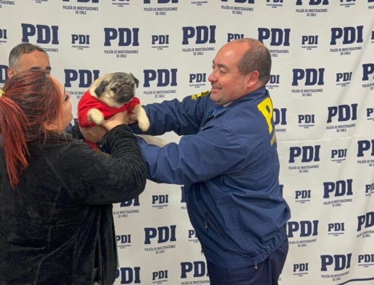 Recuperan en Linares a mascota de apoyo emocional robada desde un domicilio