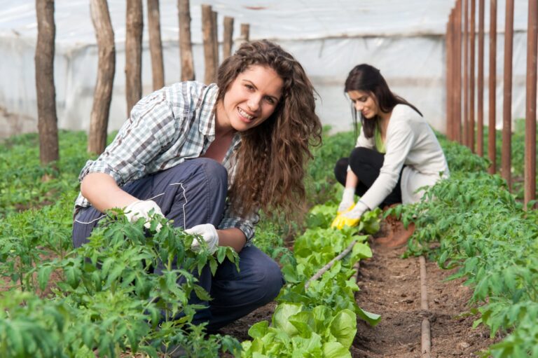 Presentan histórica política nacional para juventudes rurales: buscan priorizar arraigo y equidad en el campo