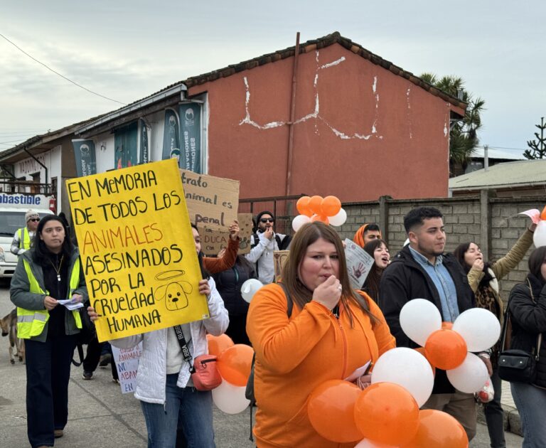 Ciudadanía alza la voz por animales abandonados en Chanco: exigen fiscalización municipal