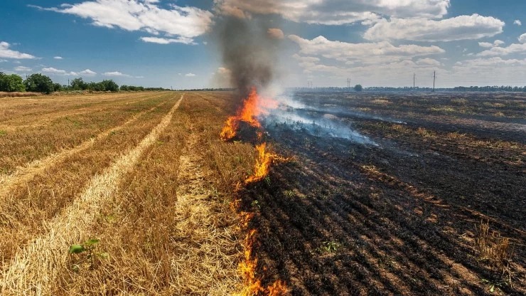 ¡Alerta Maule! prohibición total de quemas agrícolas y forestales desde noviembre