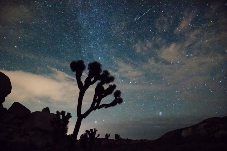 Leónidas 2025: cuándo, a qué hora y cómo observar la lluvia de estrellas que brillará en noviembre