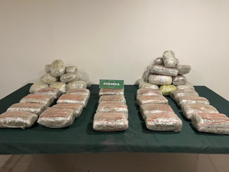 Más de 40 kilos de droga son incautados en control policial en Ruta 5 Sur
