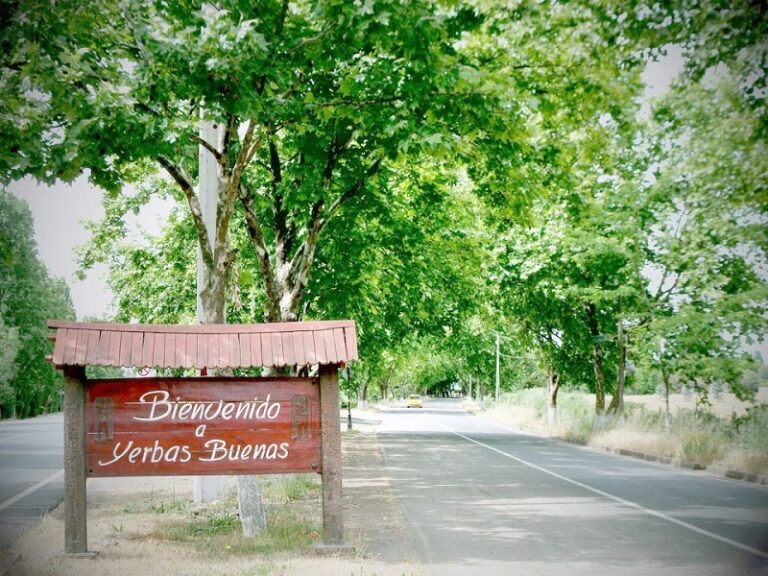 Yerbas buenas