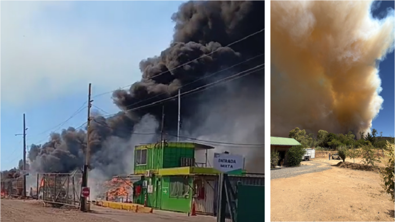 Alerta Roja en Maule por incendio forestal cercano a viviendas