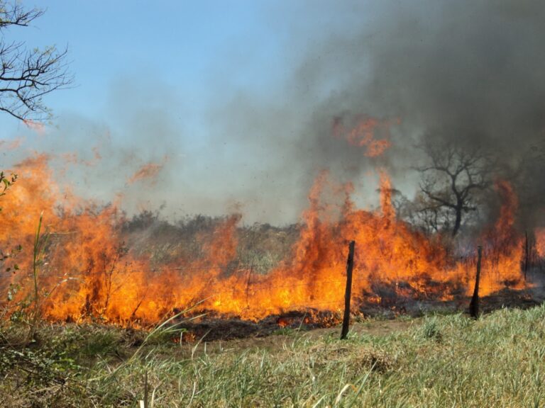 Formalizan a hombre de 66 años por incendio que destruyó capilla en Parral