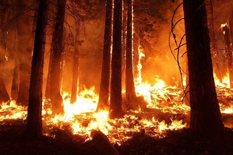 Con solo 10 años, niño arriesga su vida para salvar a su familia en trágico incendio en Penco