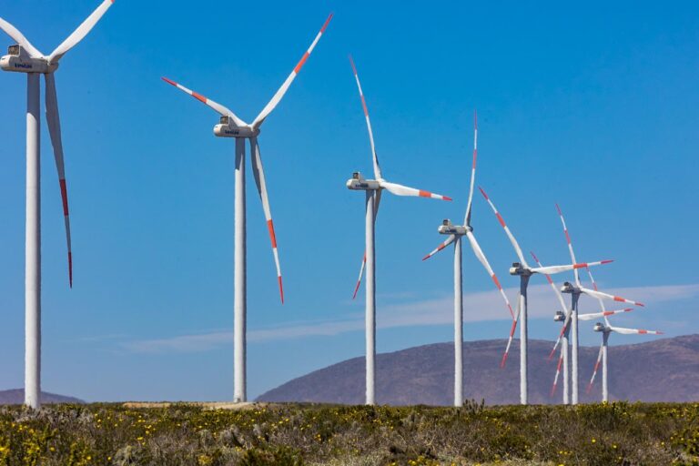 Proyecto eólico El Parrón ingresa al SEIA con inversión de US$280 millones en la Región del Maule