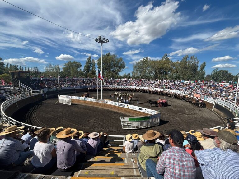 Los Ángeles inicia fase final del Rodeo Chileno rumbo al 77° Campeonato Nacional