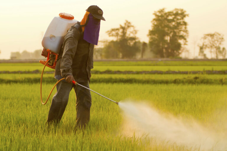 Investigación en Maule rural alerta riesgos de pesticidas para la salud mental