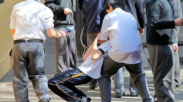 Contraloría detecta grave falla en control de violencia escolar: solo 5% de denuncias fue investigado
