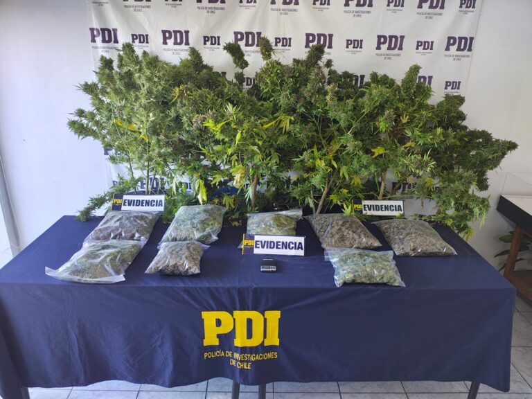 Operativo policial desbarata punto de venta de droga en Retiro: incautan más de 4 kilos de marihuana