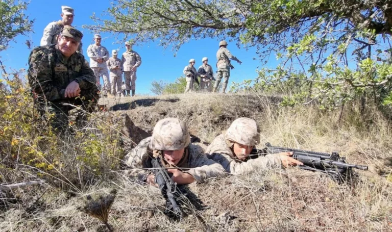 Maule: Buscan a conscripto que huyó con un fusil de predio militar