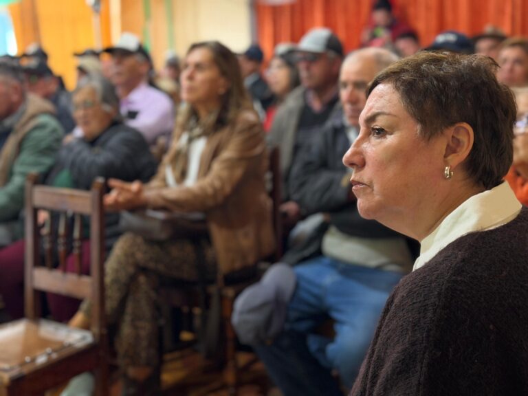A solicitud de la senadora Beatriz Sánchez: Comisión de Agricultura sesionará en el Maule por crisis del arroz y la remolacha