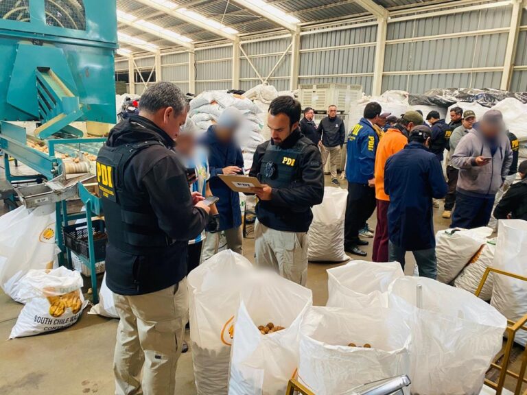 Fiscalización detecta trabajadores extranjeros irregulares en packing de Longaví
