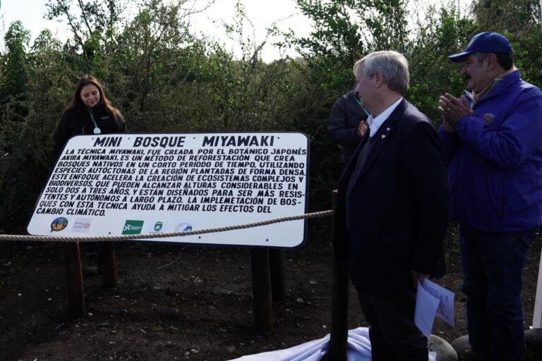 Curicó transforma basural en su primer bosque Miyawaki en sector Santa Fe