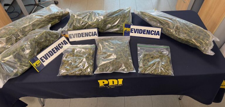 Desarticulan punto de venta de droga en Linares: incautan más de tres kilos de marihuana