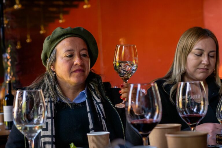 Viñas del Maule fortalecen el enoturismo con nuevas capacitaciones de cata y maridaje