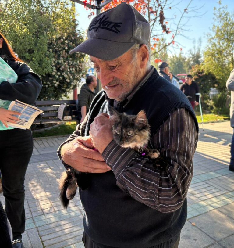 Vacunas, chips y control sano: operativo veterinario gratuito beneficia a mascotas en Lontué