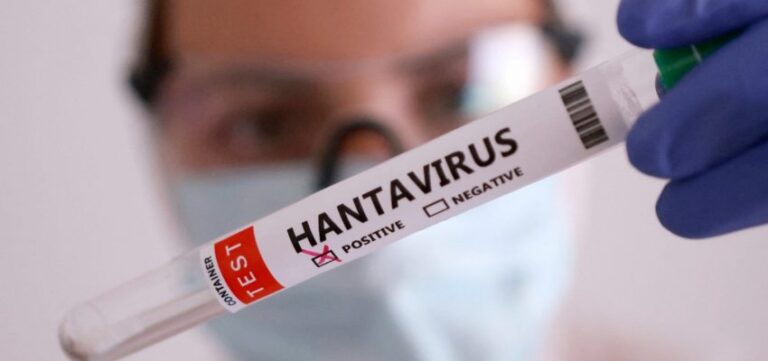 Preocupación en el Maule por alza de contagios de hantavirus