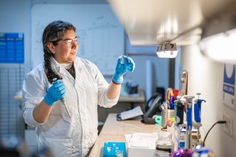 Investigación de la UTalca revela que derivado del Omega 3 podría reducir daño hepático por diabetes