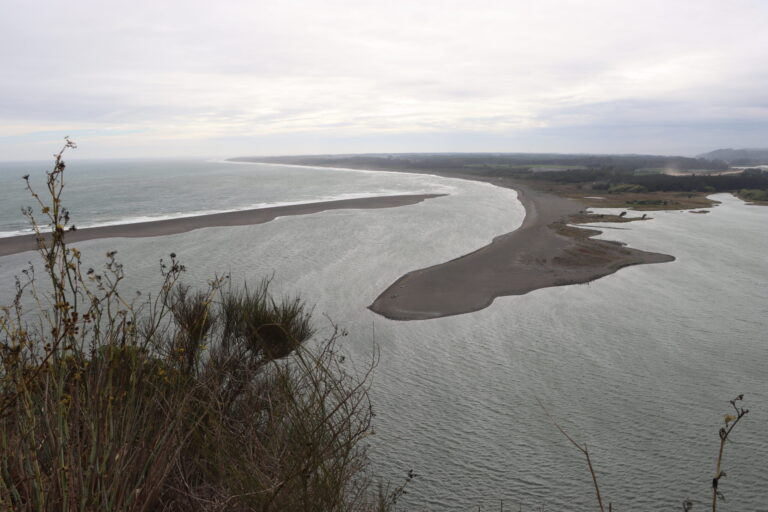Fiscalía investiga desaparición de pescador y coordina intensa búsqueda en Constitución