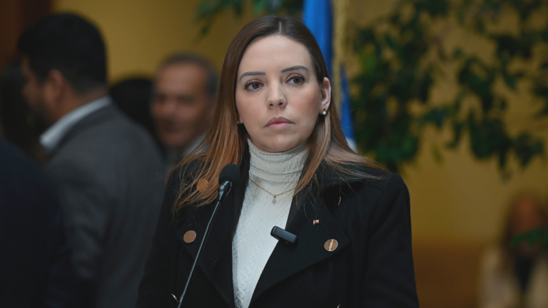 Senadora Camila Flores denuncia difusión de imágenes íntimas y apunta a su exesposo