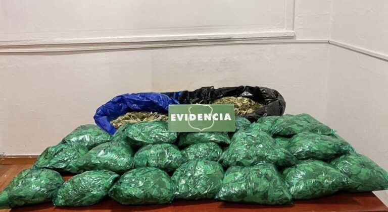 Carabineros detiene a dos mujeres por vender hojas de coca en el CREA de Talca
