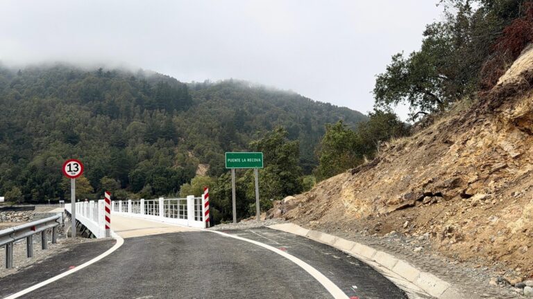 Contraloría alerta falencias en puentes: Región del Maule concentra el10% del total nacional