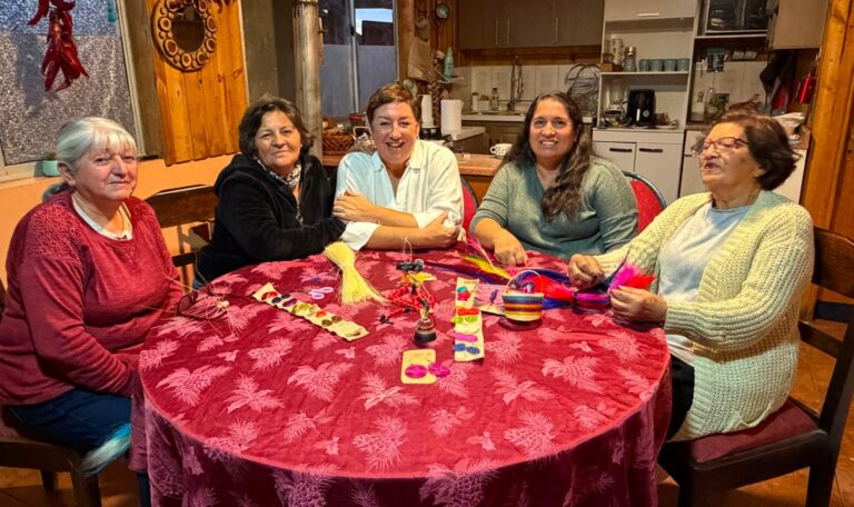 Senadora Sánchez por cierre del programa Mujeres Rurales: “El presidente Kast y sus recortes siguen dándole la espalda al campo y a las zonas rurales”