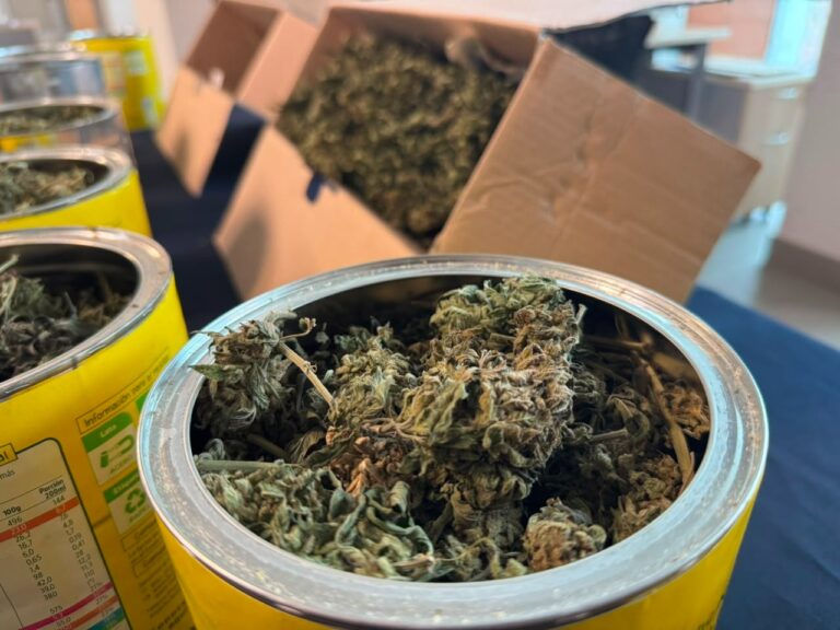 Operativo antidrogas deja dos personas detenidas en Linares: incautaron más de 2 kilos de cannabis