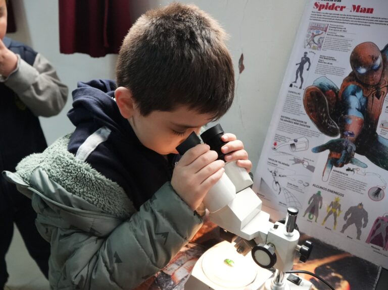 Insectomanía impulsa aprendizaje ambiental en escuelas rurales de Cauquenes