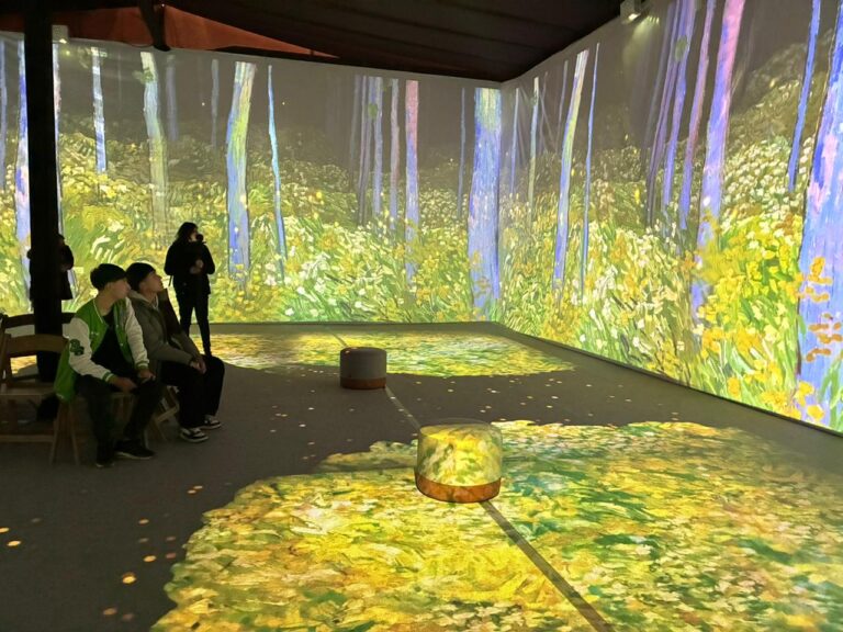 Para disfrutar este invierno: exposición inmersiva de Van Gogh conquista al público maulino en Talca