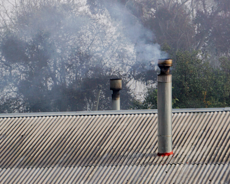Expertas alertan sobre el impacto del cambio climático y la contaminación del aire en la salud