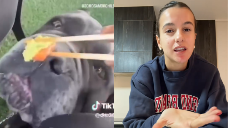 Falabella corta vínculo con Josefa Sáez tras polémico video viral de su perro comiendo wasabi