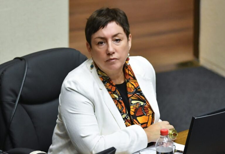 Senadora Beatriz Sánchez y organizaciones rechazan proyecto de Enel en San Clemente: “Es una nueva zona de sacrificio”